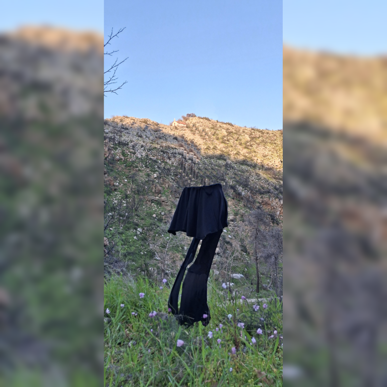 αρτεμις_αννα 4. png